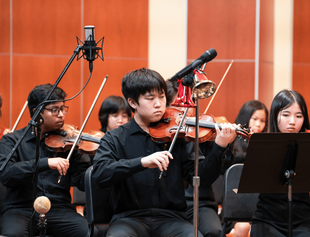 Violinists play in an orchestra.