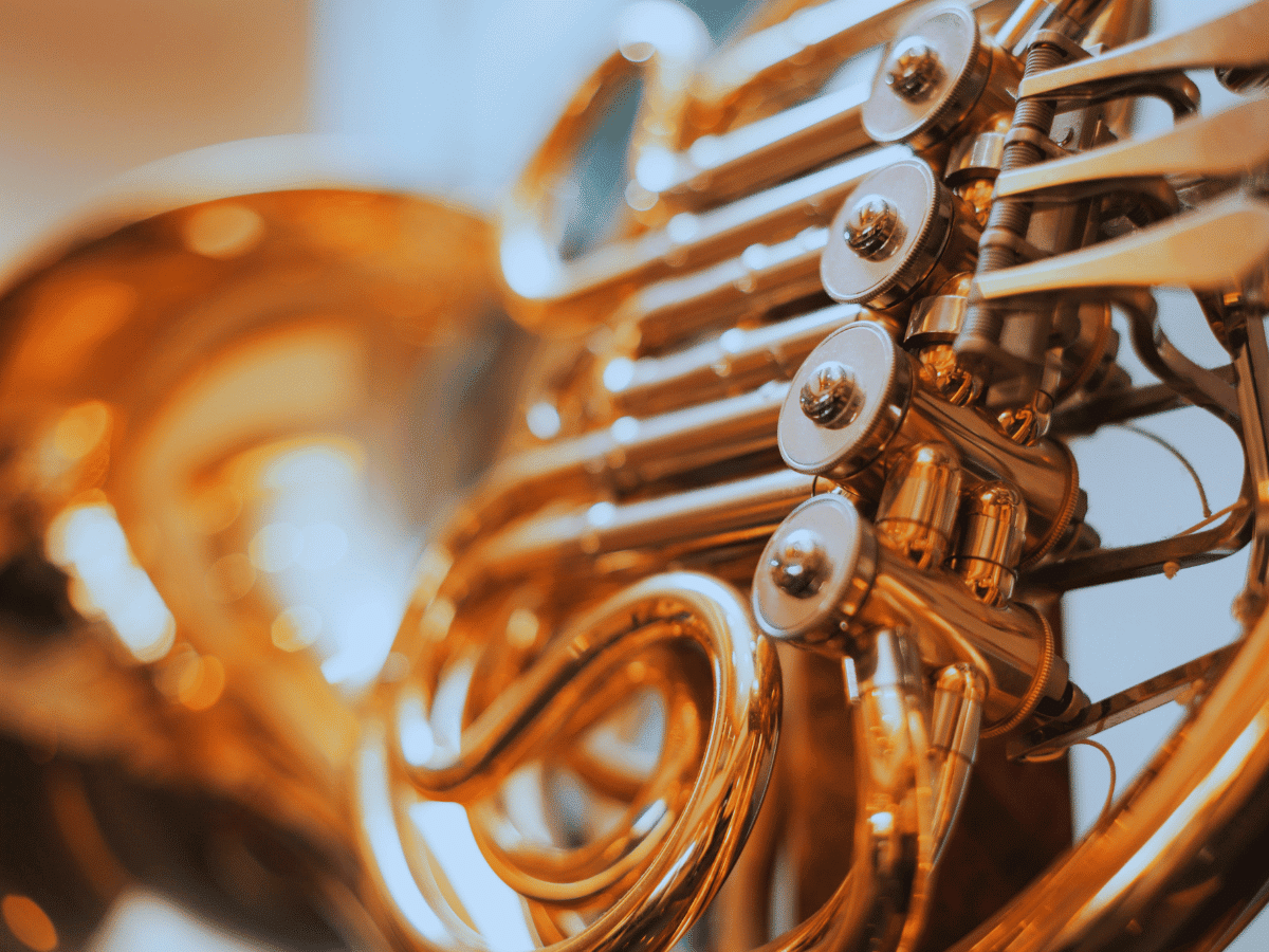 A closeup of a horn.